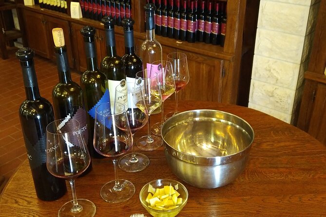 Peljesac Wine Private Day Trip From Dubrovnik - Meeting and Pickup