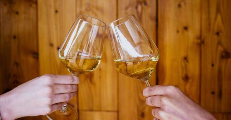 PelješAc Wine Tasting and Local Winery Visit - Experience Highlights