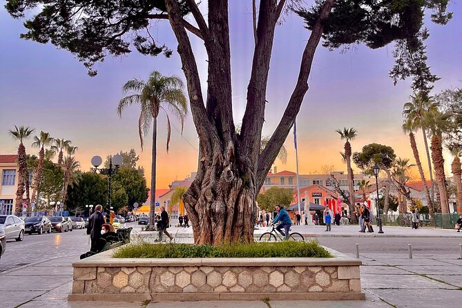 Peloponnese Day Tour - Additional Information and Contact Details