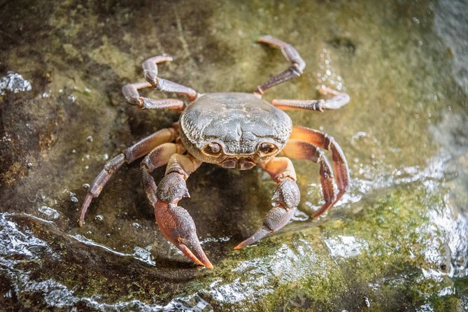Peloponnese Peninsula Hike on the Neda River  - Greece - The Sum Up
