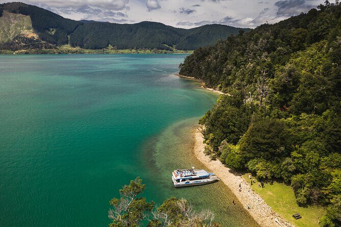 Pelorus Mail Boat Sunday Scenic Cruise  Full-Day from Havelock - Good To Know
