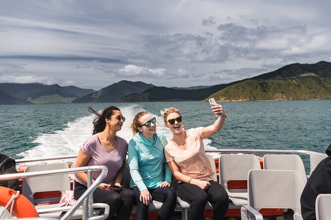 Pelorus Mail Boat Sunday Scenic Cruise  Full-Day from Havelock - Hopai Bay Farm Visit