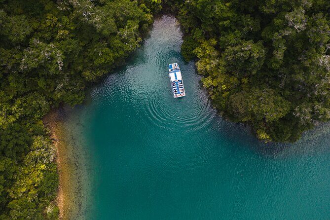 Pelorus Mail Boat Sunday Scenic Cruise  Full-Day from Havelock - Who Is This Tour Best For?
