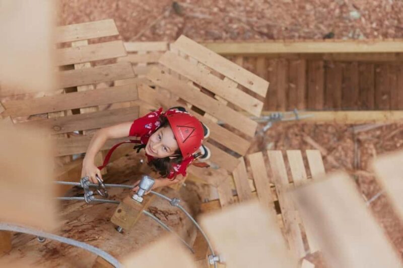 Pemberton: 2.5h Ultimate Ziplines & High Ropes Experience - An In-Depth Look at the Pemberton Zipline & High Ropes Tour