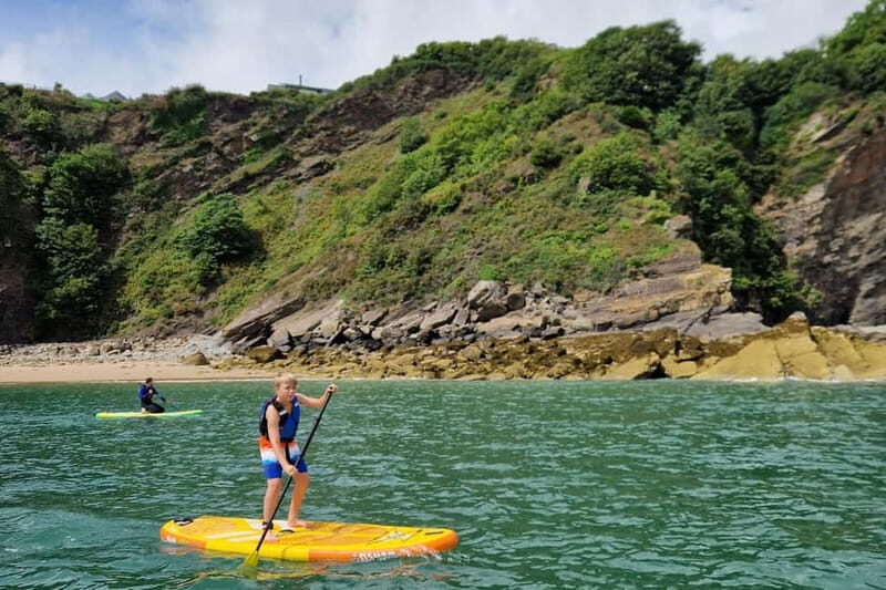 Pembrokeshire: Paddle Boarding At Tenby North Beach - Who Will Love This Tour?