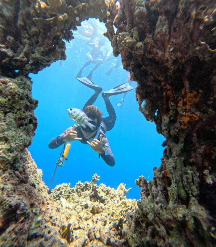 Pemuteran Bali: Menjangan Island Snorkeling Trip with Lunch - Transportation, Timing, and Practicalities