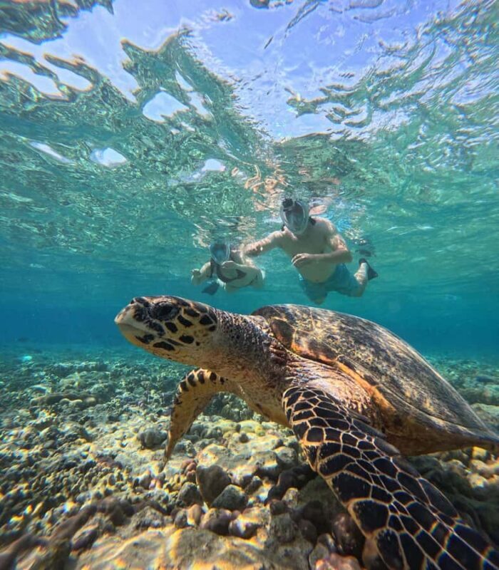 Pemuteran Bali: Menjangan Island Snorkeling Trip with Lunch - Who Would Love This Experience?