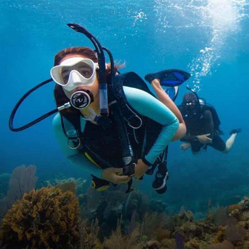 Pemuteran: Biorock Dive Master Internship - Learning to manage a dive operation