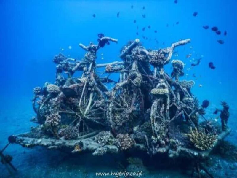Pemuteran: Biorock Dive Master Internship - Who Should Consider This Tour?