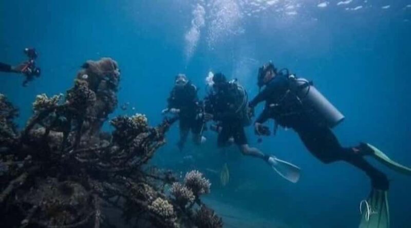 Pemuteran: Biorock Dive Master Internship - FAQ