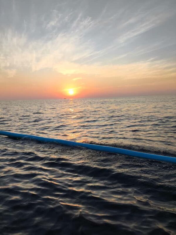 Pemuteran: Dolphin Watching Tour with Hotel Transfer - Who Would Love This Tour?