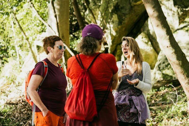 Pena Palace, Moorish Castle,Quinta ad Regaleira:Walking tour - Pena Palace: Portugal’s Romantic Icon