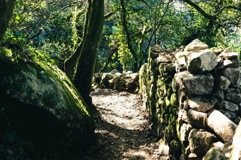 Pena Palace, Moorish Castle,Quinta ad Regaleira:Walking tour - FAQ