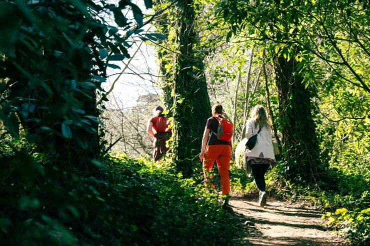 Pena Palace, Moorish Castle,Quinta Ad Regaleira:Walking Tour - Tour Highlights