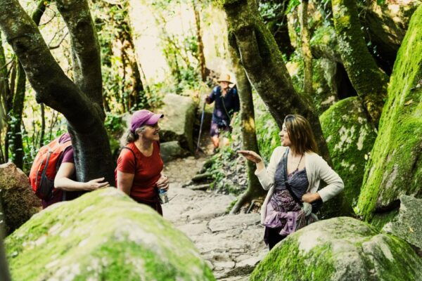 Pena Palace, Moorish Castle,Quinta Ad Regaleira:Walking Tour - Booking and Reservation Instructions
