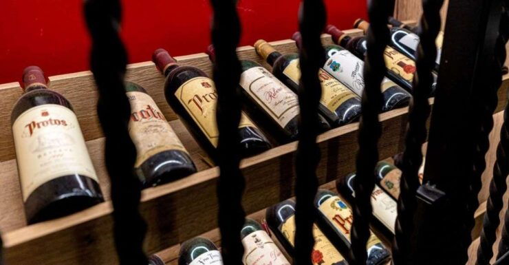 Peñafiel: Diversity Visit at Bodegas Protos Winery - Activity Details