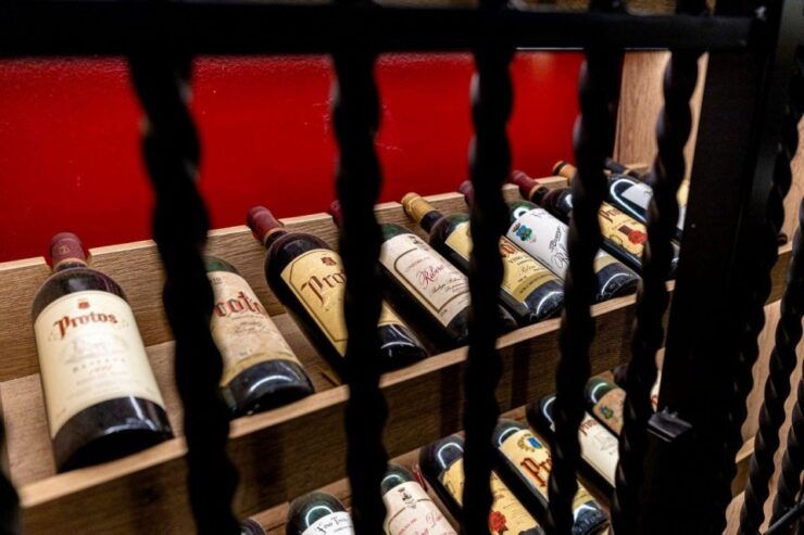 Peñafiel: Diversity Visit at Bodegas Protos Winery - Experience Highlights