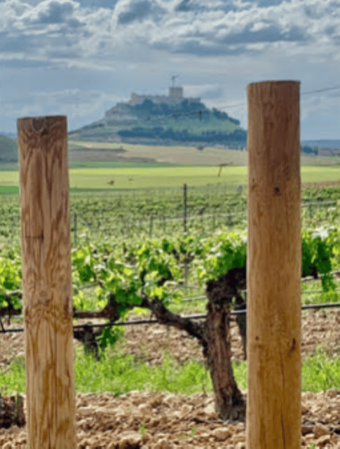 Peñafiel. Private Tour of the Castle and Historic Center - Key Points