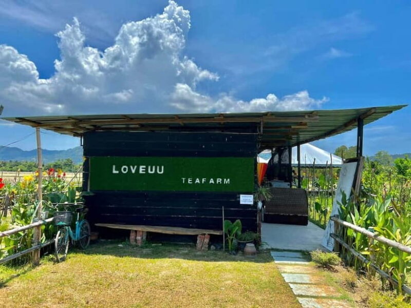 Penang: ATV Ride in Balik Pulau with Snacks and Transfers - Good To Know