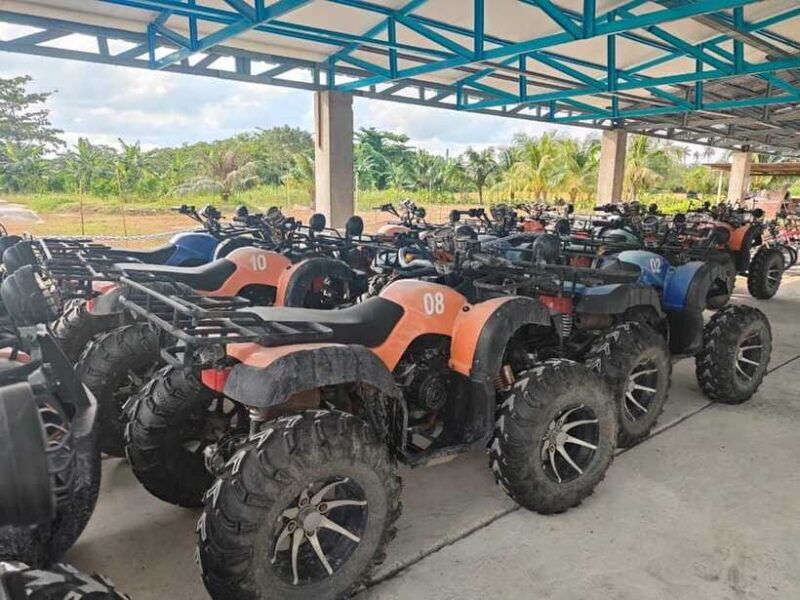 Penang: ATV Ride in Balik Pulau with Snacks and Transfers - Authentic Experiences and Honest Limitations