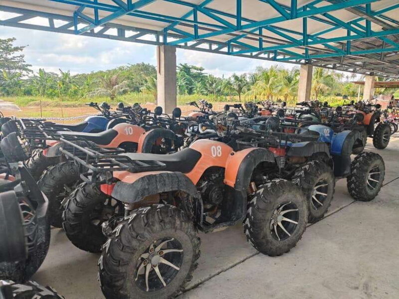 Penang: ATV Ride in Balik Pulau with Snacks and Transfers - Authentic Perspectives from Travelers