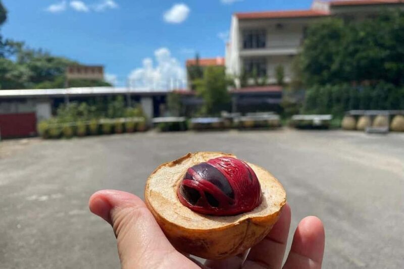 Penang: Balik Pulau Culture Experience & Village Tour - Good To Know