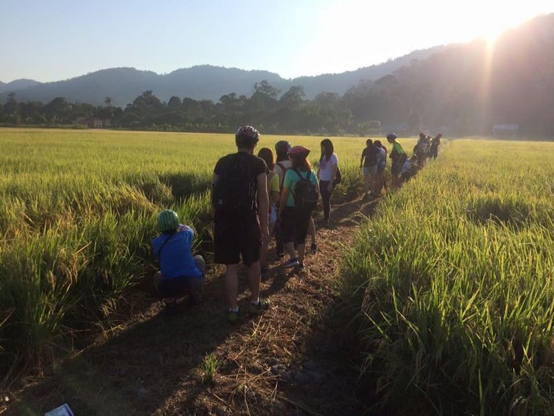 Penang Balik Pulau Evening Cycling Tour - What the Ride Feels Like