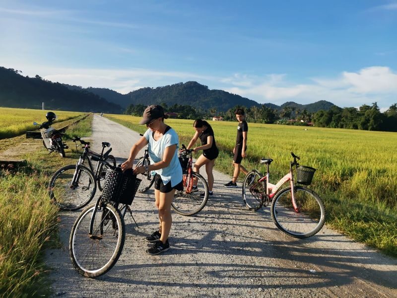 Penang Balik Pulau Evening Cycling Tour - Price and What You Get for It