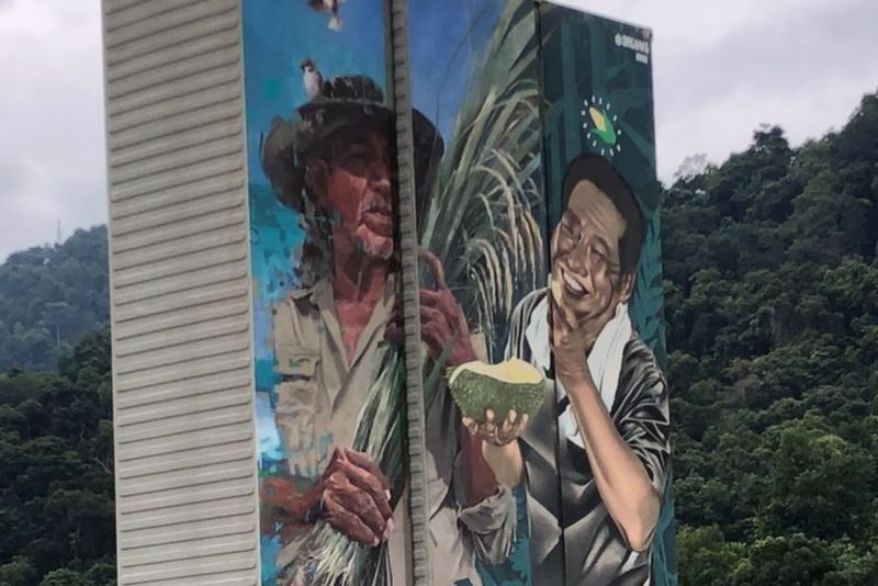 Penang Balik Pulau Half-Day Local Stories and Villages Tour - What to know before you go