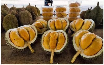 Penang Balik Pulau Half-Day Local Stories and Villages Tour - Does $56.39 represent good value?