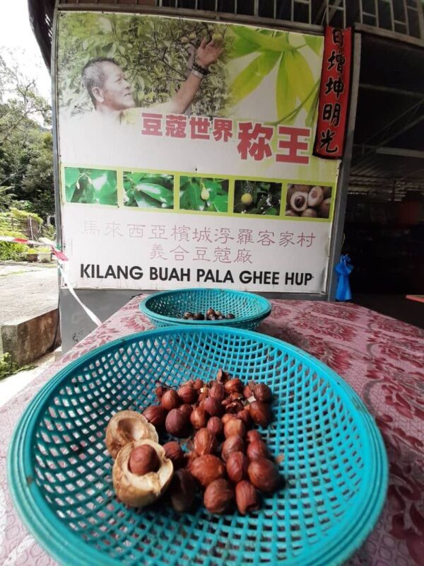 Penang Balik Pulau Half-Day Local Stories and Villages Tour - Should you book the Balik Pulau tour?