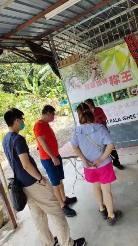 Penang: Balik Pulau Hidden Gems Tour with Hotel Pickup - A Deep Dive into the Experience