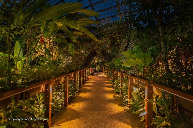 Penang City and Entopia Butterfly Farm Tour - An In-Depth Look at the Penang City and Entopia Butterfly Farm Tour