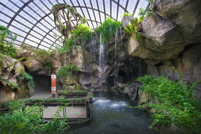 Penang City and Entopia Butterfly Farm Tour - Who Should Consider This Tour?