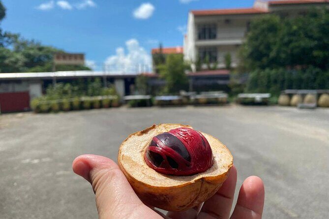 Penang countryside Balik Pulau Half Day Tour - The Itinerary in Detail