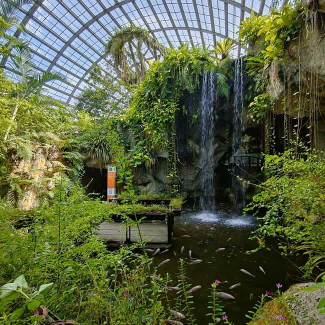 Penang: Entopia General Admission Tickets - Who Would Love Entopia?