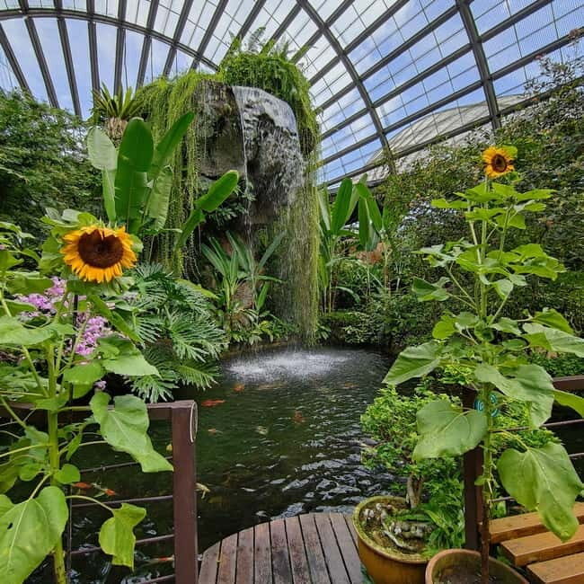 Penang: Entopia General Admission Tickets - The Sum Up