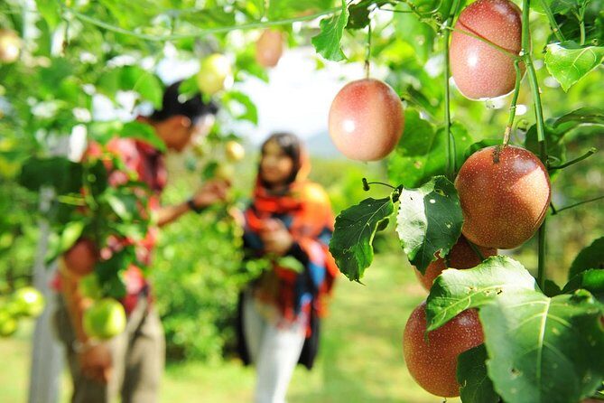 Penang Essentials Tour: Top Landmarks & Tropical Fruit Farm - Final Thoughts: Who Should Consider This Tour?