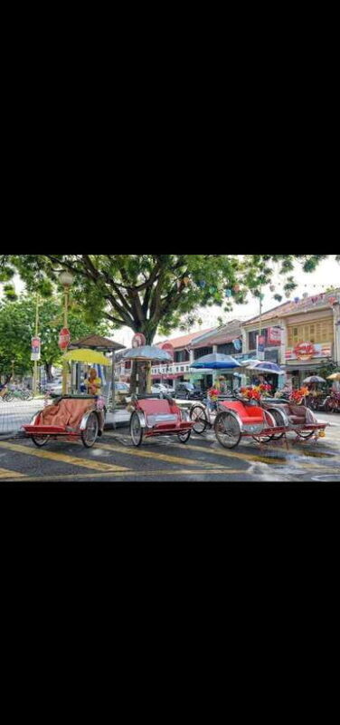Penang: Exciting Local Full Day Private tour 6-10pax(8Hours) - What’s Not Included?