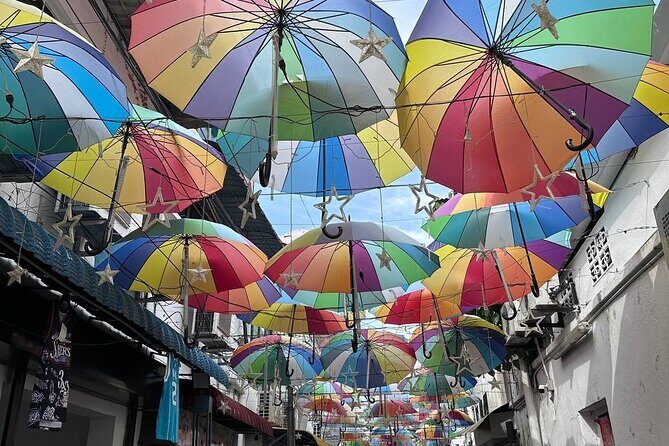 Penang Exciting Local Full Day Private Tour 8 Hours - Why Choose This Tour?