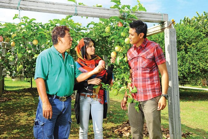 Penang Full Day Tour With Penang Hill, Kek Lok Si & Fruit Farm - Logistics and Itinerary Information