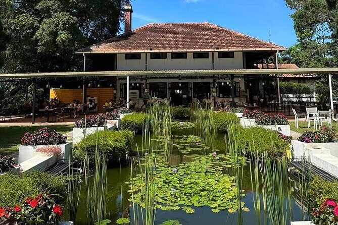 Penang Hill Kek Lok Si Majestic Private Tour - The Experience: A Closer Look