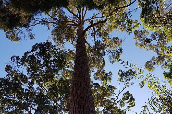 Penang Hill & Pagoda Tour with Food Tasting (Tickets Included) - Pricing and Value