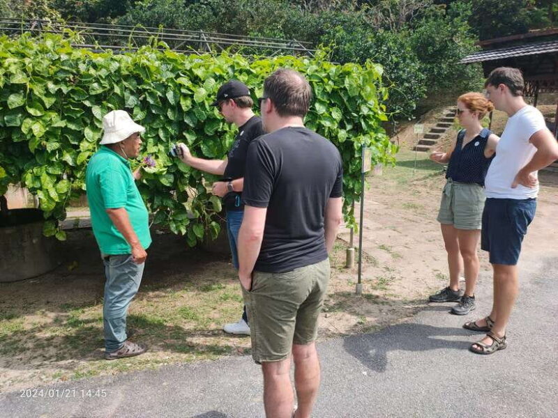 Penang: Private Customized Flexible Tour with Tourist Guide - Final Thoughts