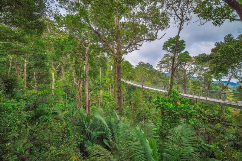 Penang: The Habitat Penang Hill Entry Ticket - Good To Know