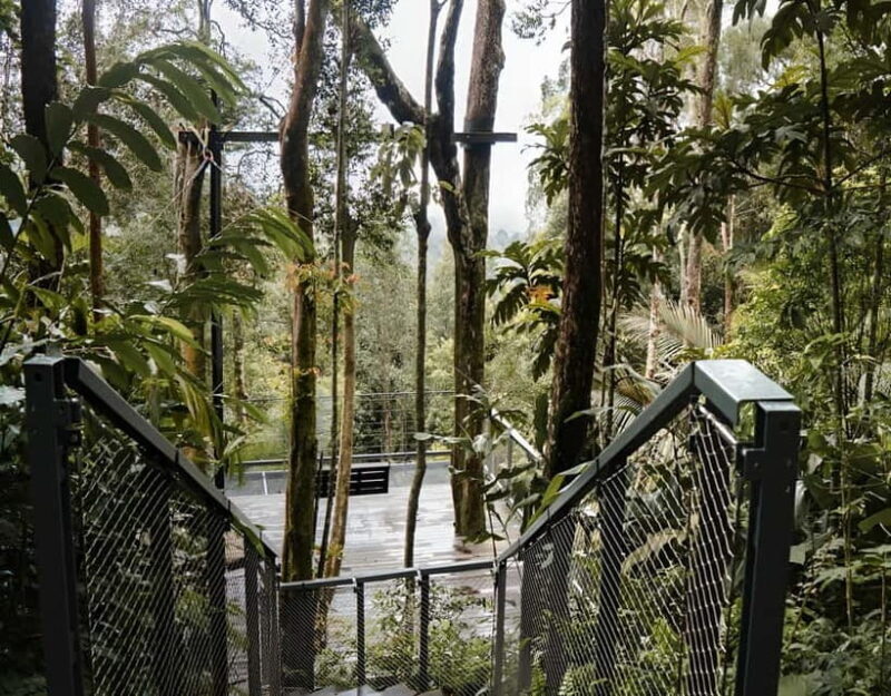 Penang: The Habitat Penang Hill Entry Ticket - The Sum Up