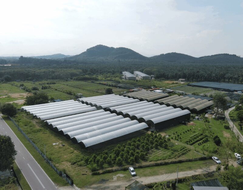 Penang: The Vanilla Village Farm Tour by Kairos - What Is The Vanilla Village by Kairos?