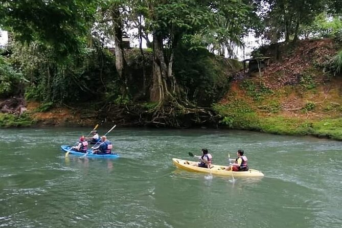 Peñas Blancas River Half-Day Kayak Tour From La Fortuna - Customer Feedback