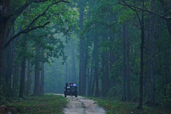 Pench National Park: Skin the Line Access to Jungle Safari - Permits and Booking Information