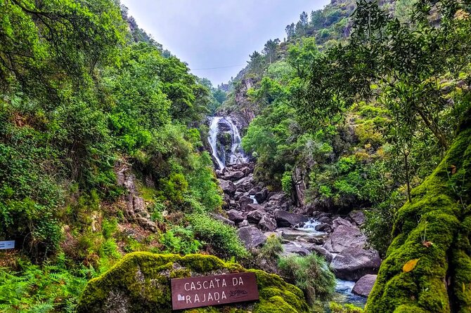 Peneda - Gerês National Park Lagoons Tour - Price and Booking Details